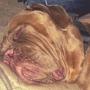 Meet your Posher, Whitney